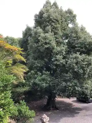 三峯神社(群馬県)