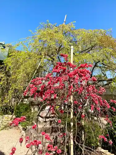 常宮神社の自然