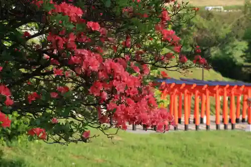 高屋敷稲荷神社の景色