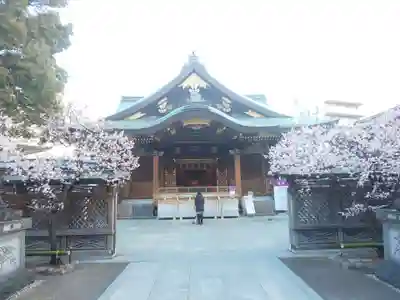 湯島天満宮の本殿・本堂