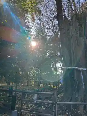 大國魂神社(東京都)