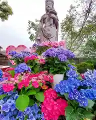 四季桜の寺 妙乗院(愛知県)