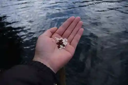 九頭龍神社本宮(神奈川県)