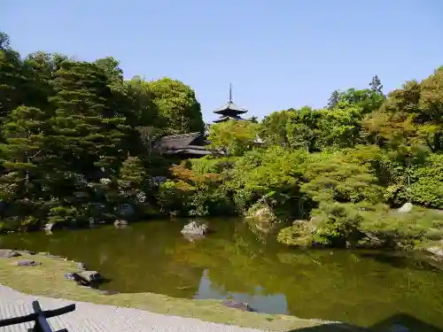 仁和寺の庭園