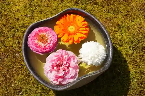 勝林寺の手水舎