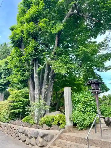 大善院(東京都)