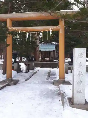 北海道神宮の鳥居