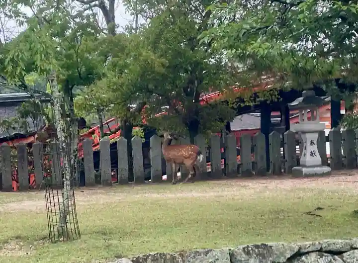 清盛神社(広島県)