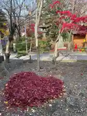 彌彦神社　(伊夜日子神社)(北海道)