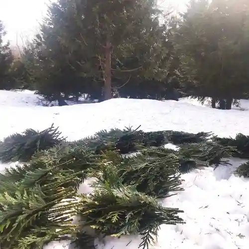 七重浜海津見神社(北海道)