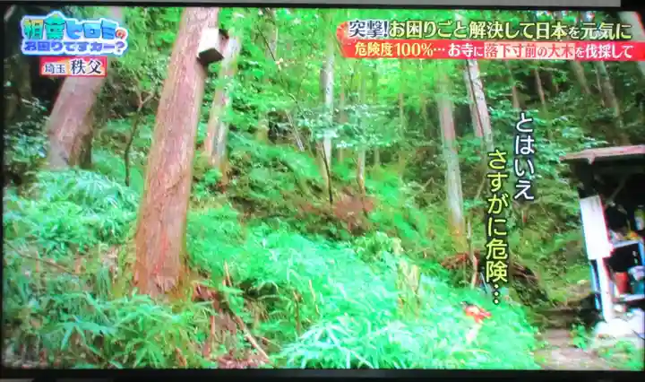 観音院(埼玉県)