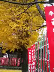 高安寺(東京都)