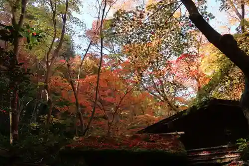 祇王寺(京都府)