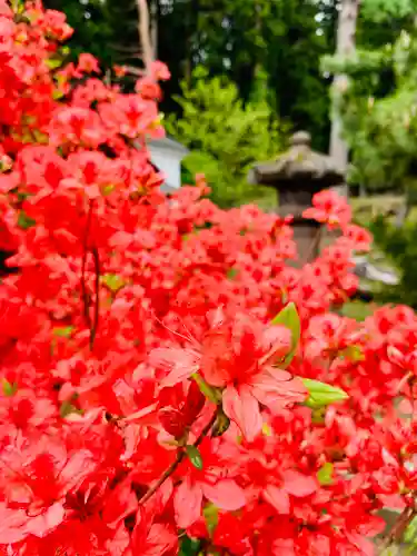 土津神社｜こどもと出世の神さまの自然