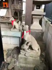 鳩森八幡神社の狛犬