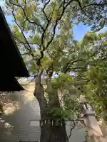 貴布禰神社(静岡県)