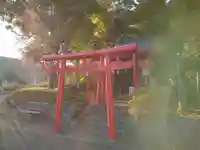 末廣稲荷大明神の鳥居