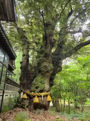 狭野神社(石川県)