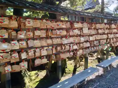 出雲大社(島根県)