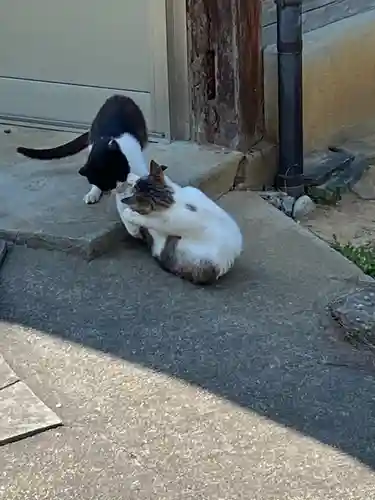 浄瑠璃寺の動物