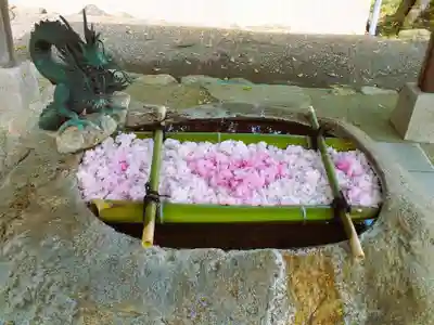 立志神社の手水舎