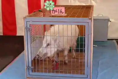 護王神社(京都府)