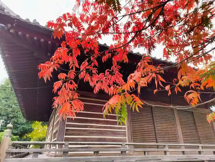 護国寺(東京都)