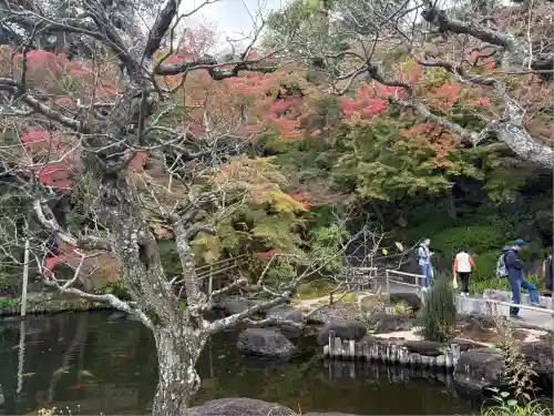長谷寺(神奈川県)