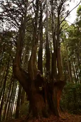 祇園神社(宮崎県)