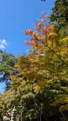 光明寺（粟生光明寺）(京都府)