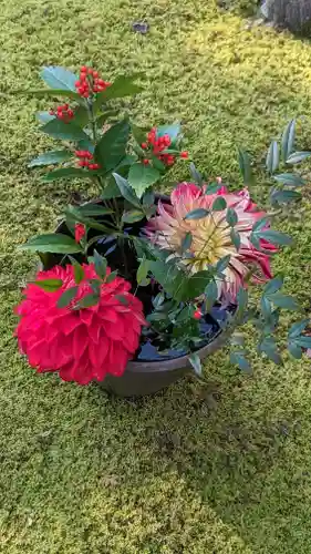 勝林寺(京都府)