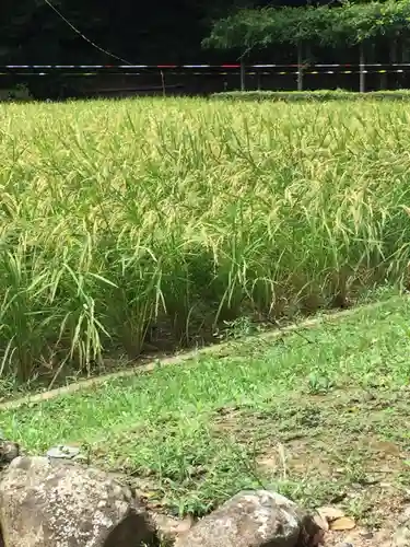猿田彦神社のその他建物