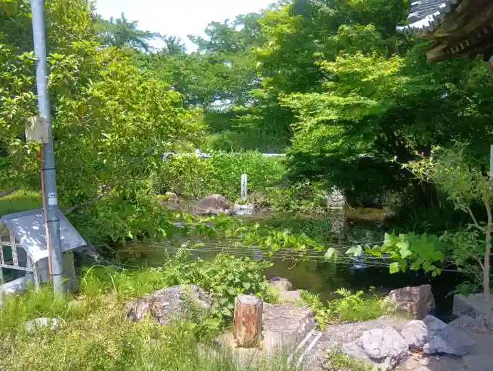 八幡神社の{uncategorized: "未分類", other: "その他", undefined: "問題あり", building: "その他建物", grave: "お墓", sacred_gate: "鳥居", guardian: "狛犬", statue: "像", buddha: "仏像", history: "歴史", nature: "自然", garden: "庭園", animal: "動物", pagoda: "塔", temizu: "手水舎", mountain_gate: "山門・神門", sanctuary: "本殿・本堂", subordinate: "末社・摂社", art: "芸術", scenery: "景色", jizo: "地蔵", ema: "絵馬", goshuin: "御朱印", omikuji: "おみくじ", items: "授与品その他", amulet: "お守り", goshuincho: "御朱印帳", eats: "食事", festival: "お祭り", votive_dance: "神楽", shichigosan: "七五三参", wedding: "結婚式", experience: "体験その他", initially: "初詣", around: "周辺", anti_infection: "感染症対策"}