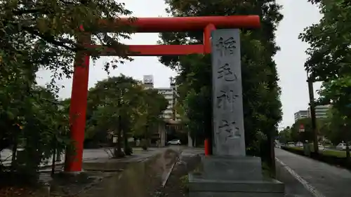 稲毛神社の鳥居