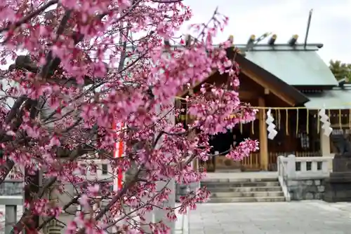 石濱神社の自然