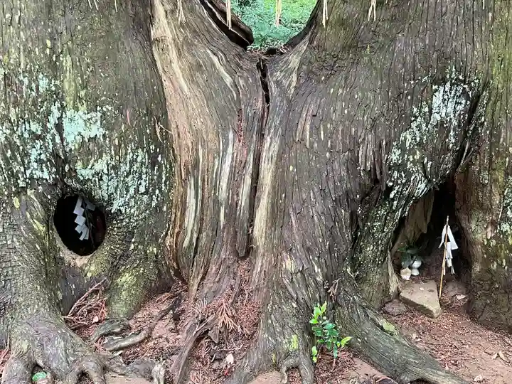 日吉神社(千葉県)