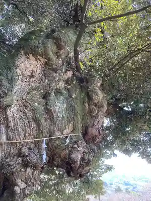 楽法寺（雨引観音）(茨城県)