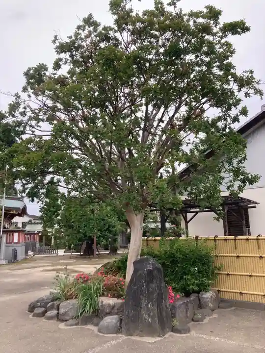 薭田神社(東京都)