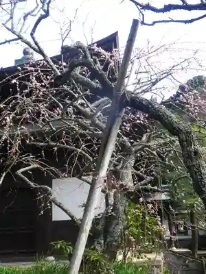 瑞泉寺のその他建物