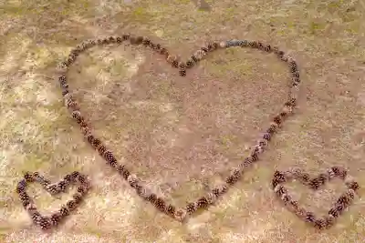 伊達神社(北海道)