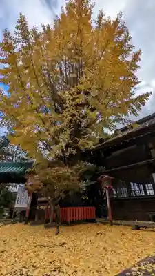 松ヶ崎大黒天 妙圓寺（妙円寺）(京都府)