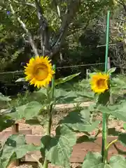 神吉八幡神社の自然