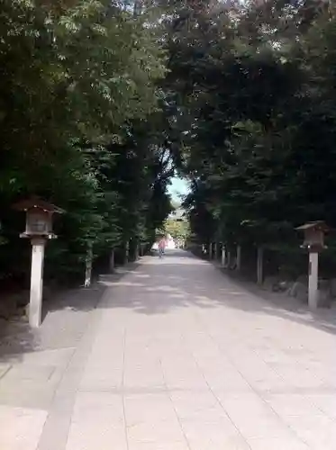 寒川神社の自然