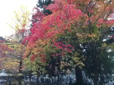 高野山金剛峯寺奥の院(和歌山県)