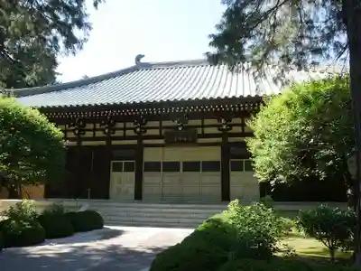 道場寺の本殿・本堂