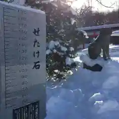 住吉神社の体験その他