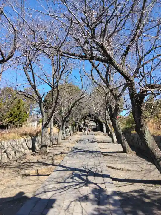 時宗総本山 遊行寺(正式:清浄光寺)(神奈川県)