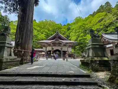 戸隠神社中社(長野県)