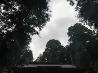 大宮温泉神社(栃木県)