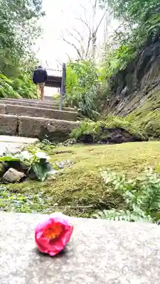 瑞泉寺(神奈川県)